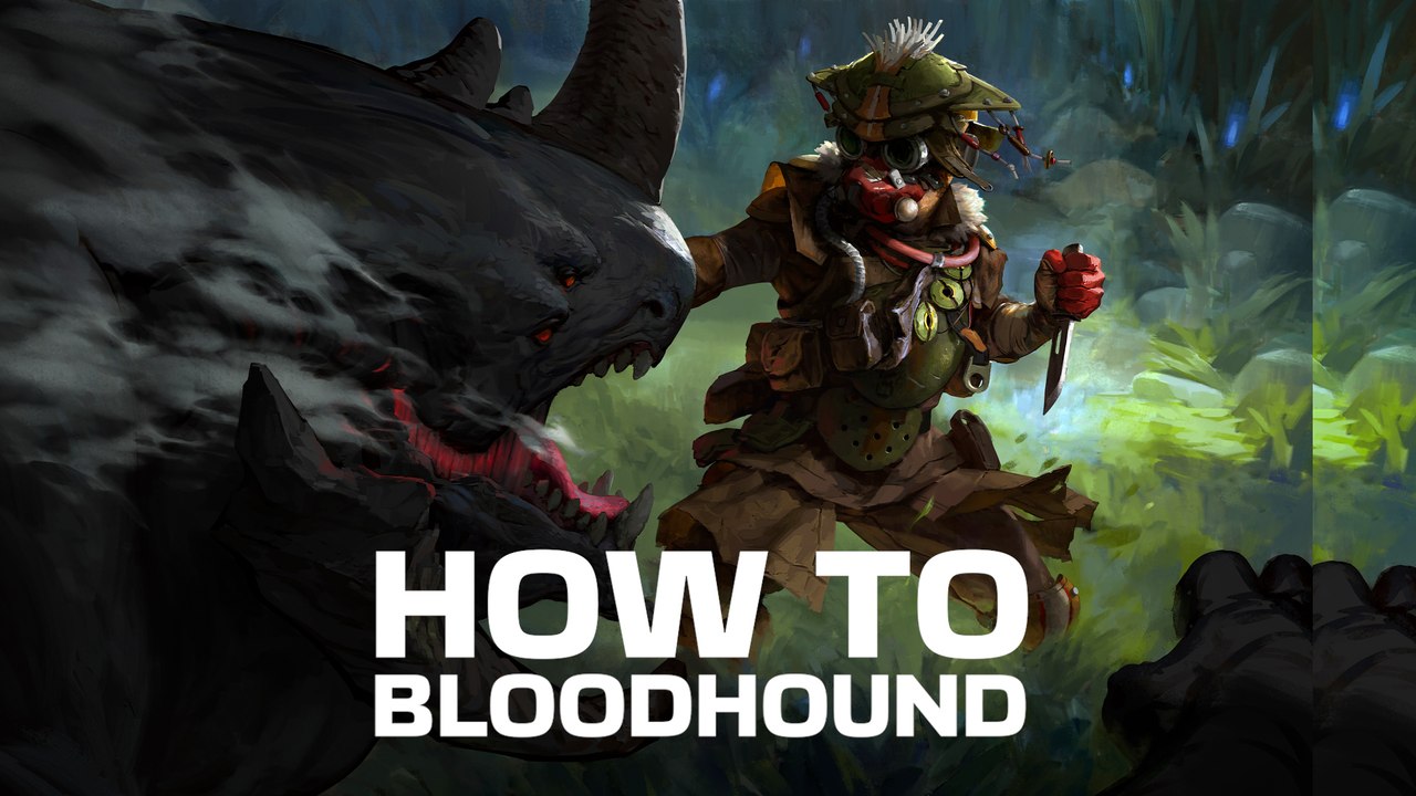 How to bloodhound | apex quick guides