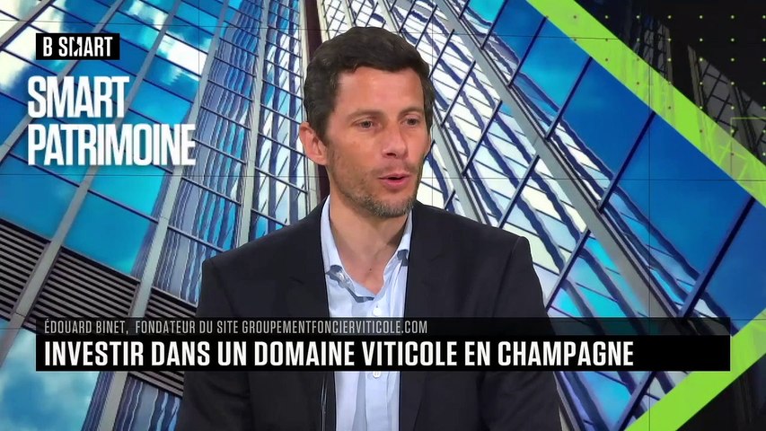 Investir dans un domaine viticole en Champagne 