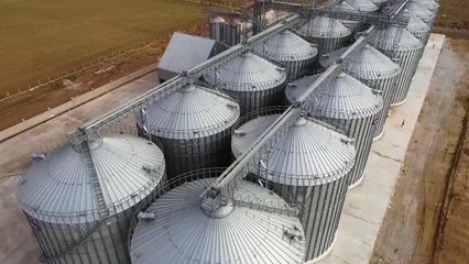 Türkiye'nin sertifikalı tohum üretimine Konya Ovası'ndan büyük katkı