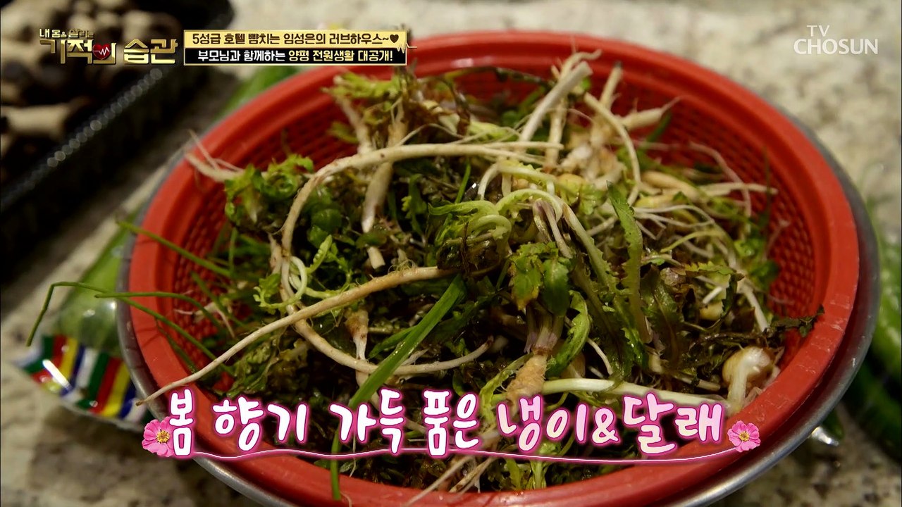 봄봄봄이왔어요~ 봄 향기 가득한 냉이 된장찌개 레시피 TV CHOSUN 220405 방송