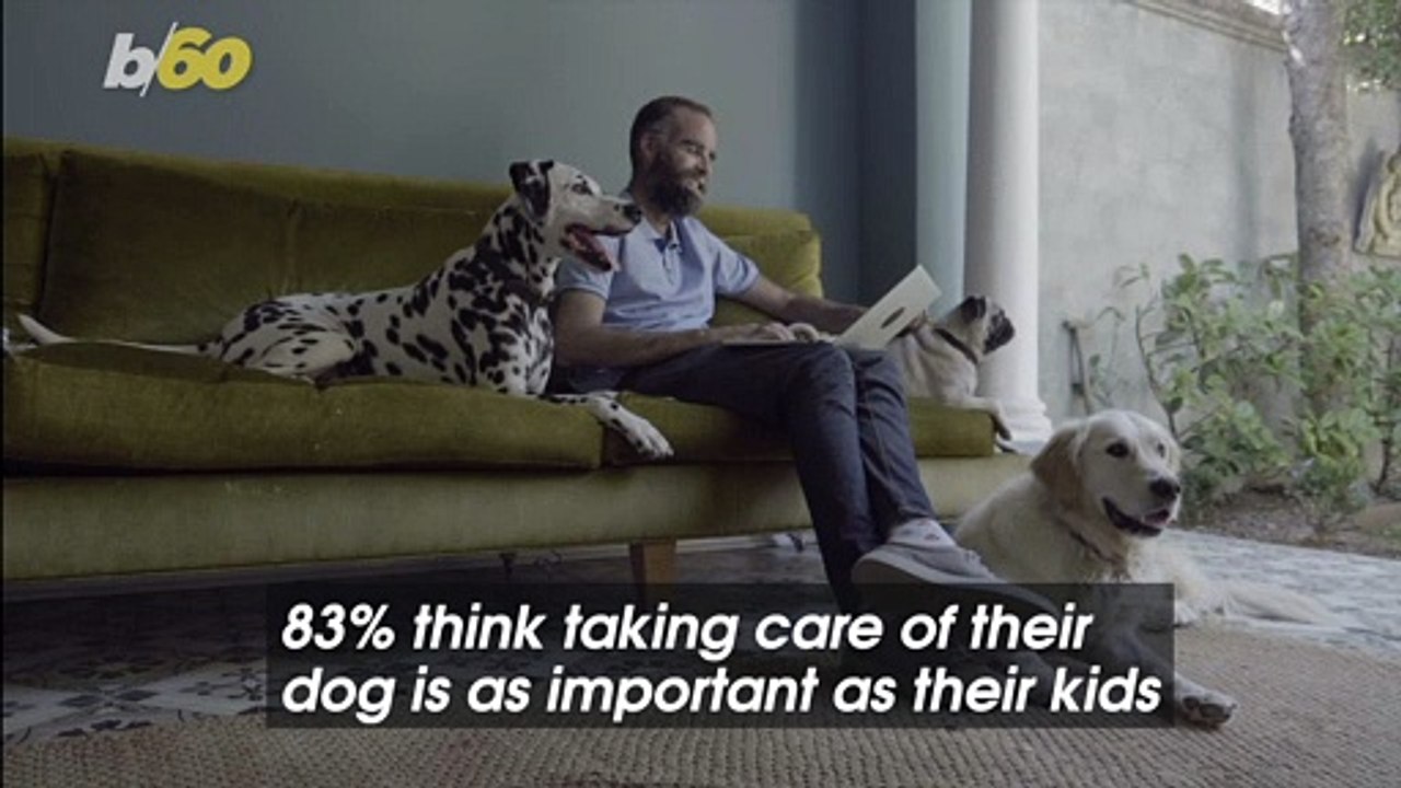 Many Dog Owners Think Taking Care of Their Pets is More Important Than Taking Care of Their Kids