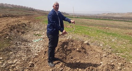 Bahçesindeki 150 kayısı ağacını söküp çaldılar