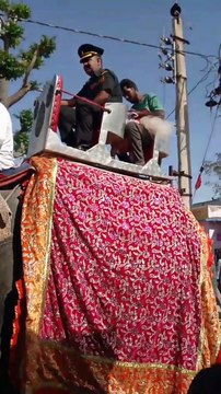 सेवानिवृत होकर आए फौजी का ग्रामीणों ने हाथी पर निकाला जुलूस, वंदेमातरम व भारत माता के जयकारों से गूंजा गांव