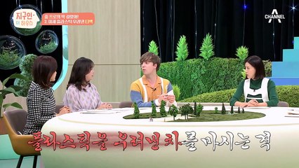 미세 플라스틱을 우려 먹는 꼴(⊙ｏ⊙)?! 미세 플라스틱이 116억 개나 있는 일회용 티백