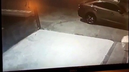 Plant pot thief caught on CCTV