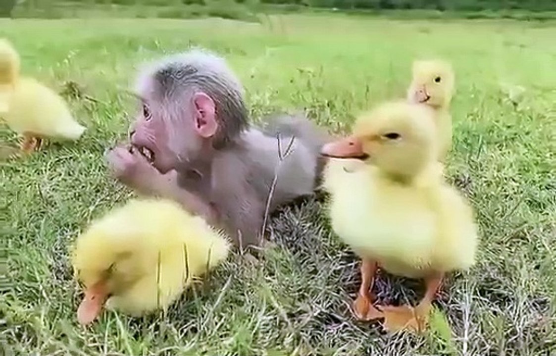 INCREDIBLE NATURE