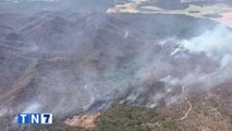 tn7-incendios-forestales-2520-hectareas-afectadas-050422