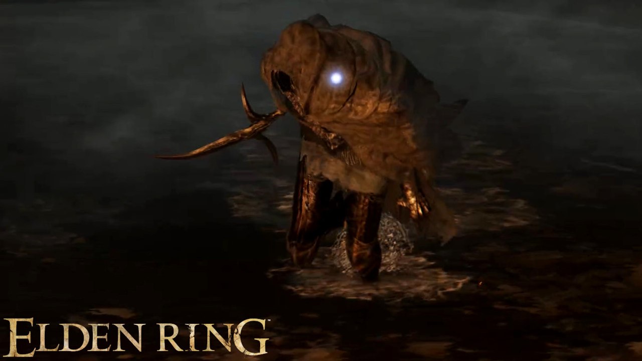 Assassin des couteaux noirs invisible Elden Ring : Comment le révéler et le battre ?