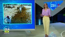 Convocan a limpiar el sargazo de las playas de Quintana Roo