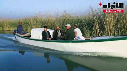 إسعاف الجواميس يذلّل المسافات أمام مربيها في أهوار العراق