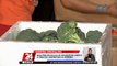 Nasa P500,000 halaga ng smuggled na carrots at broccoli, nakumpiska sa Divisoria | 24 Oras