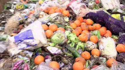 Go Bananas for This Fridge Technique to Mitigate Your Food Waste