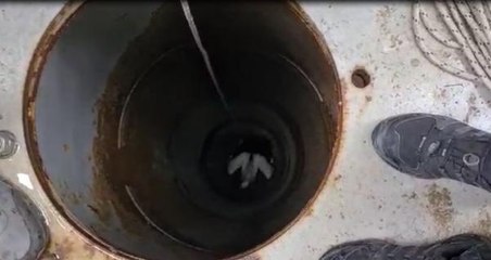 TABELANIN DİREĞİNE SIKIŞAN LEYLEK, KURTARILDI