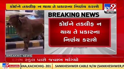 No one will be troubled_ Gujarat govt to Maldhari community over cattle control bill, Kutch _TV9News