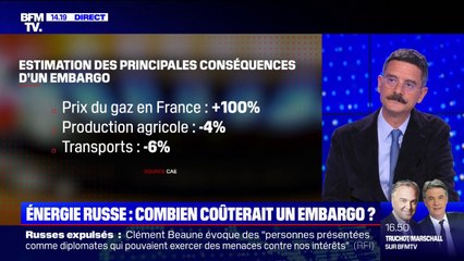 Combien coûterait un embargo européen des énergies russes ?