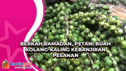 Berkah Ramadan, Petani Buah Kolang-kaling Kebanjiran Pesanan