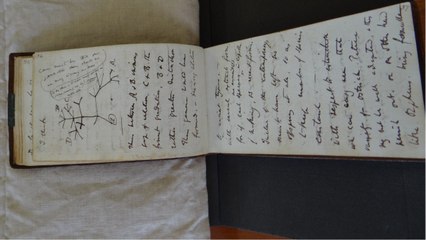 Cambridge : des carnets de Charles Darwin ont été rendus après 20 ans de disparition