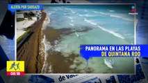 Frente frío obstaculiza acción contra Sargazo en playas de Quintana Roo