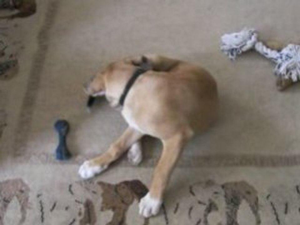 tequila et cannelle 9mars08