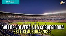 Gallos volverá a La Corregidora este Clausura 2022 y trabaja en plan para convivir con aficionados