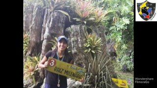 RESERVA NATURAL NIRVANA, VALLE DEL CAUCA, COLOMBIA | ¡Toda la información aquí! | Fauna, flora y más