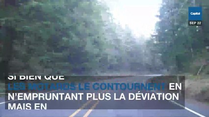 Le radar qui flashe le moins de France sème la discorde