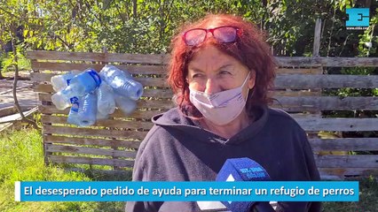 El desesperado pedido de ayuda para terminar un refugio de perros