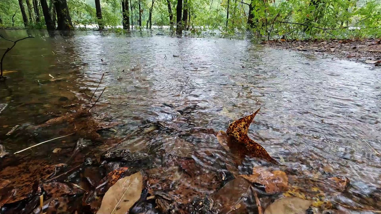 CLOSE UP OF A RAINY DAY IN THE PUDDLE