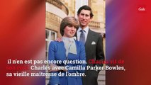 Ce 20 novembre qui a précipité Lady Diana vers sa mort