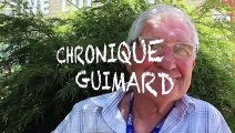 Tour des Flandres / Paris-Roubaix 2022 - Chronique - Cyrille Guimard : 