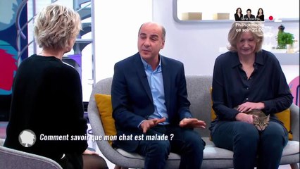 VOICI - Sophie Davant : sa remarque osée à l'un de ses chroniqueurs