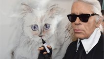 GALA VIDÉO - Qui est Françoise, la gouvernante de Choupette qui gère son héritage?
