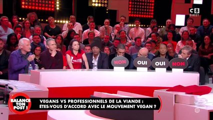 GALA VIDEO - Cyril Hanouna inquiet : une militante vegan provoque la panique en direct dans Balance ton post, la sécurité intervient