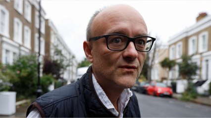 Le conseiller anti-Bruxelles de Boris Johnson a reçu 235 000£ de subventions européennes