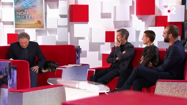 GALA VIDÉO - Guillaume Canet : quand Marion Cotillard le compare à un acteur porno des années 80