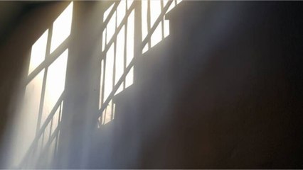 Leur HLM est "hanté", ils veulent être relogés (2)