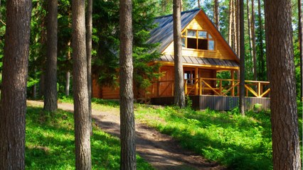 Ce chef d'entreprise prend sa retraite à 40 ans et part vivre dans une cabane