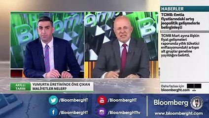 Yumurta zammı kapıya dayandı