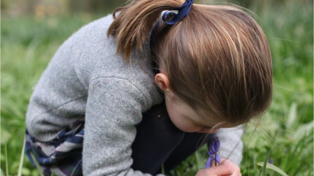 GALA VIDEO- Charlotte, la fille de Kate Middleton, aussi fashionista que maman… la fillette louche sur les robes dans les magasins