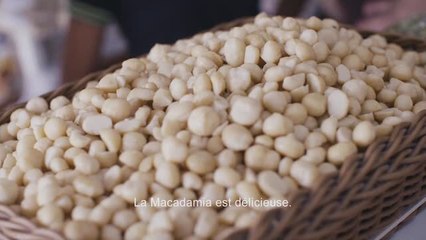 Ushuaïa - Producteurs Macadamia