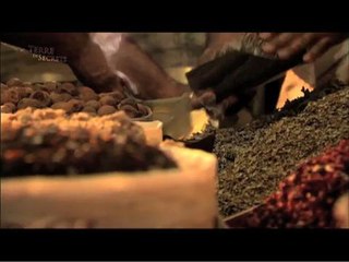 La menthe poivrée, trésor des Mille et une nuits