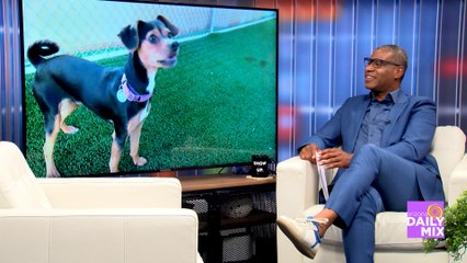 Arizona Gives Day and Lost Our Home Pet Rescue