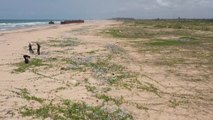 Nigeria: nettoyage de la plus grande plage de Lagos jonchée de plastique