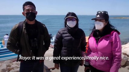 Au Mexique, observer les baleines pour oublier la pandémie