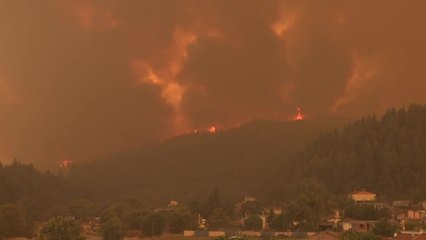 Grèce: les pompiers livrent leur 7e jour de bataille contre le brasier de l'île d'Eubée