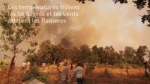 L'Algérie, endeuillée, toujours en guerre contre les incendies ravageurs
