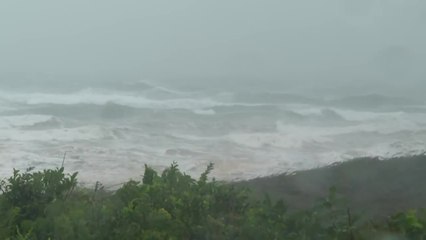 Arrivée imminente de la tempête tropicale Henri sur les côtes américaines