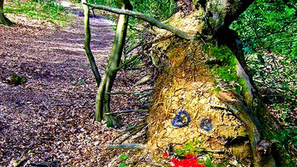 misterios sin resolver ocurridos en halloween