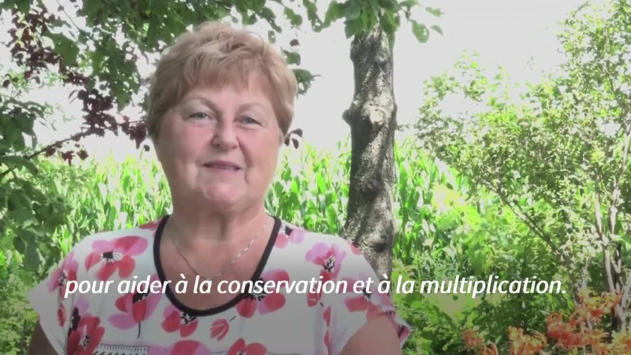 L'UICN dévoile sa "Liste rouge", baromètre de l'état de santé du vivant