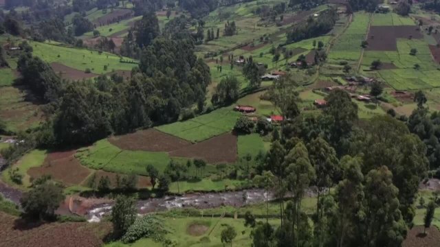 Au Kenya, les pêcheurs à la mouche veulent ouvrir les portes de leur paradis